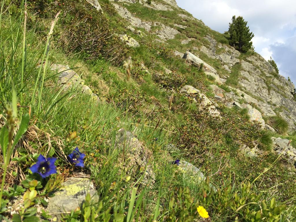 Das Alpbach Juwel Exterior foto