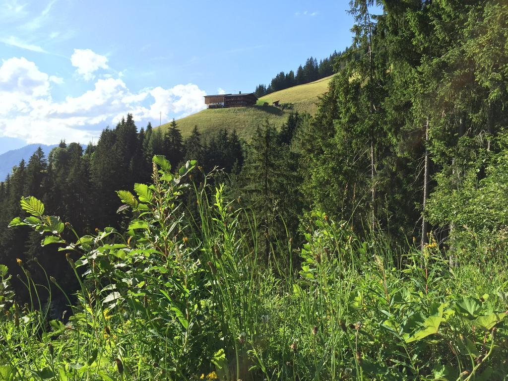 Das Alpbach Juwel Exterior foto